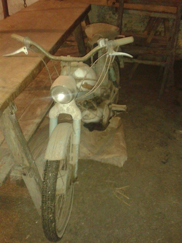 11007502_721579697962392_1469519336_n