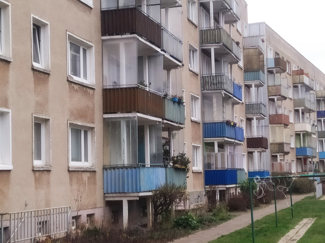 IMG-20201207-090326.jpg