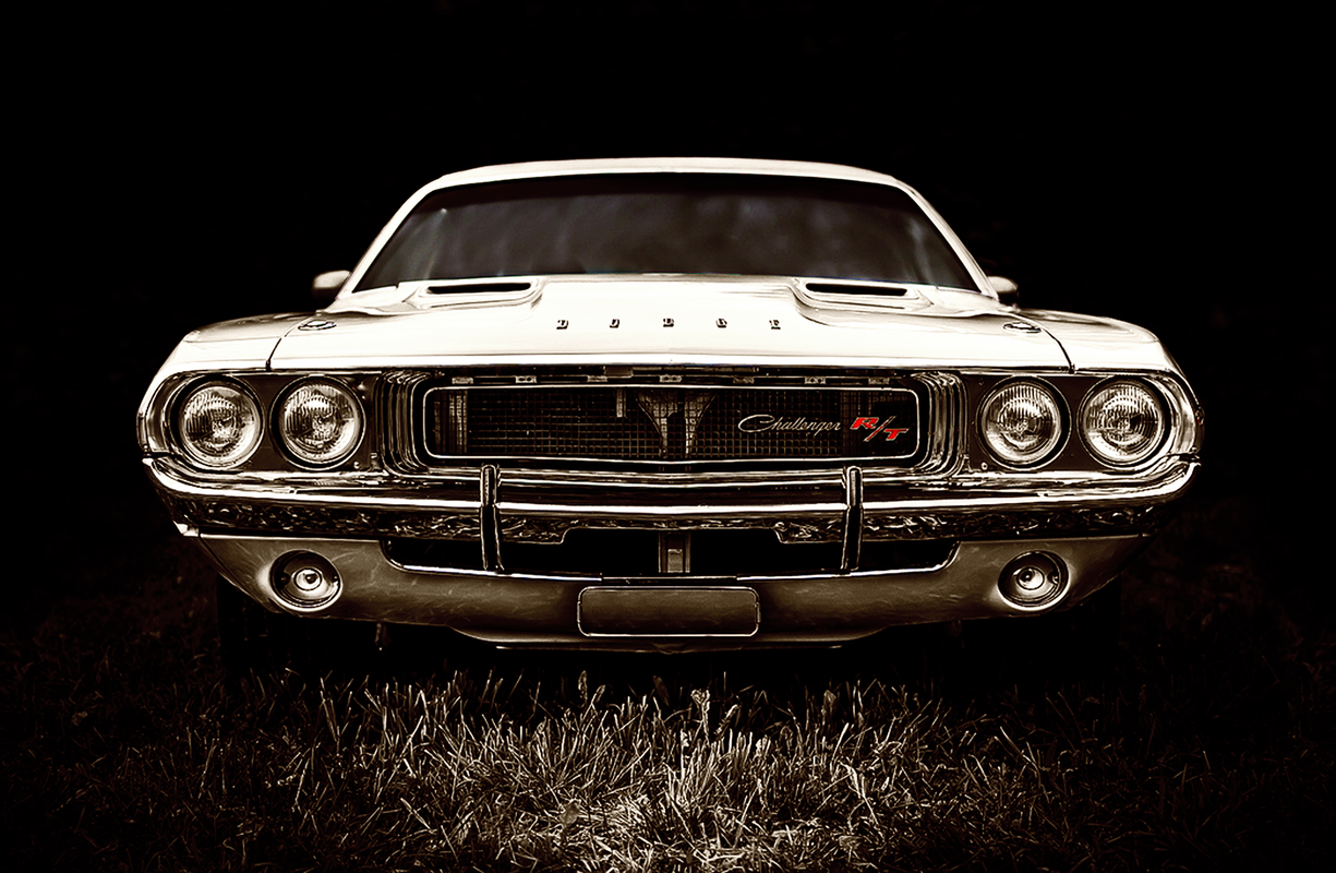 9491931313-081f08ff6d-b-gazelle-large.pn