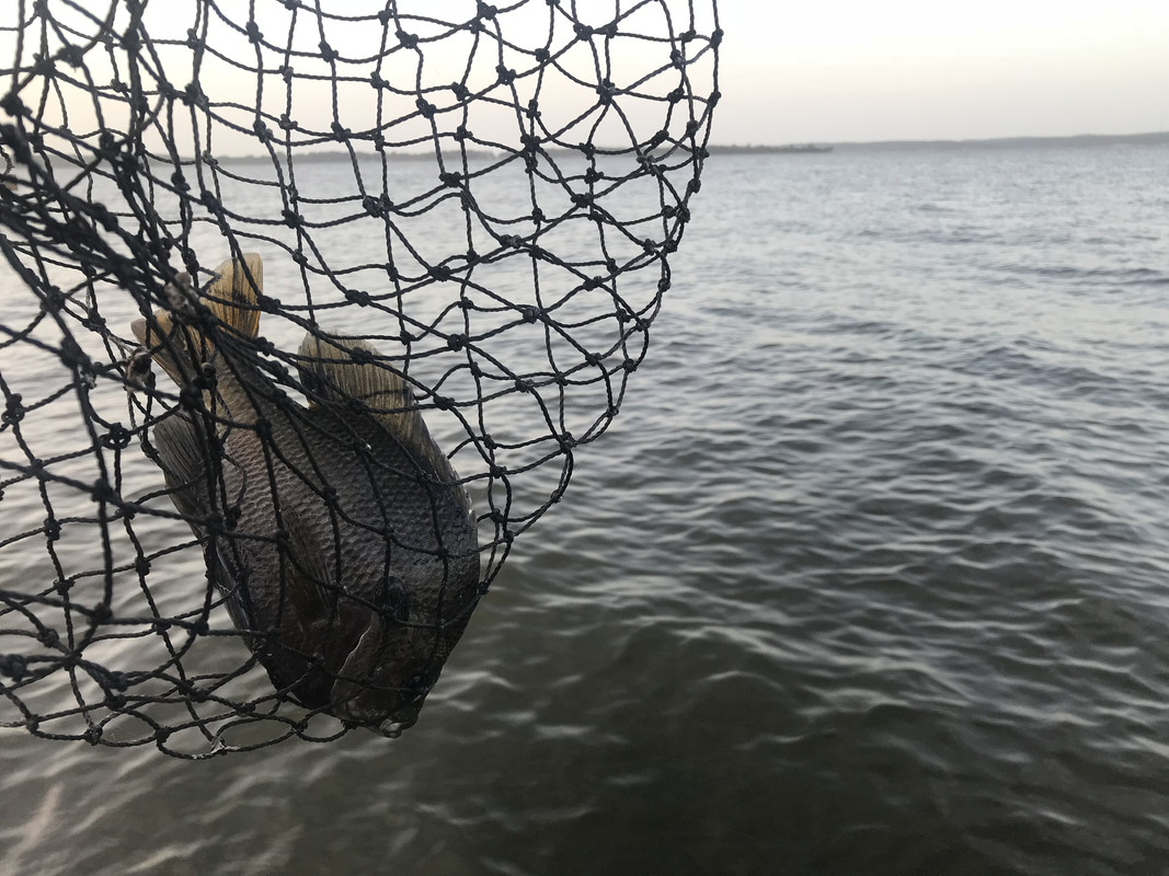 5FA1B1D6-0E33-44F8-97D2-D8C311FC0A7A