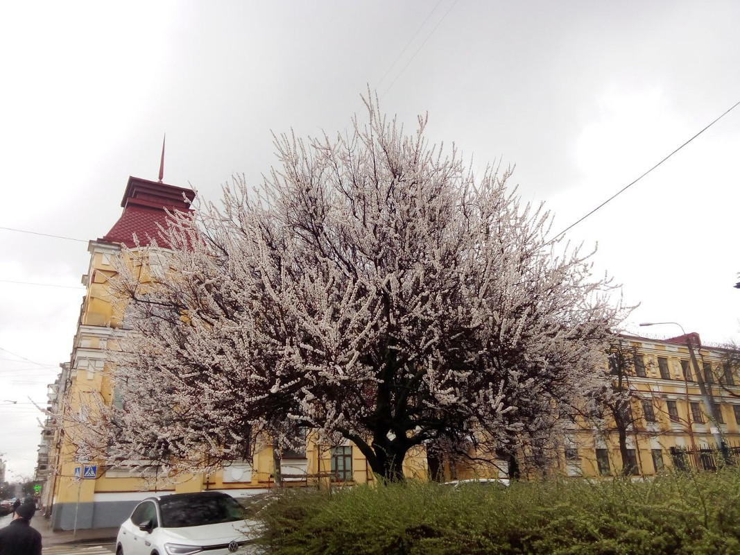 photo_2025-04-01 8.17.45 пп