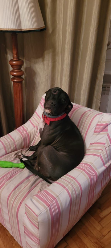 27E9B6A4-8C49-4B67-9830-1846163969B7