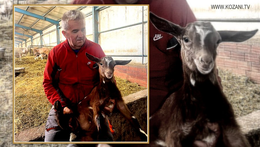 κοζάνη, ειδήσεις, νέα, Πτολεμαΐδα