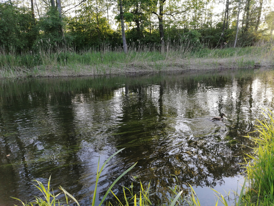 01.14 - IMG_20210530_193705 (Czesio1)