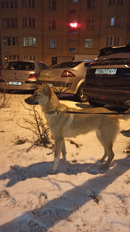 изображение_viber_2022-01-12_14-32-30-068