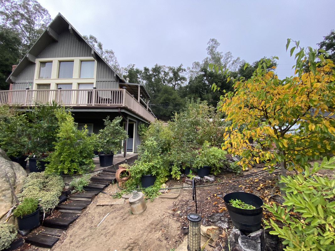 612DDC0B-7706-42F3-9EAA-B0B56D661836