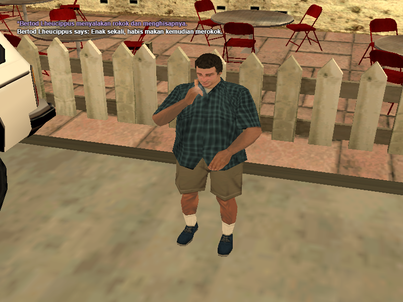 SS8.png
