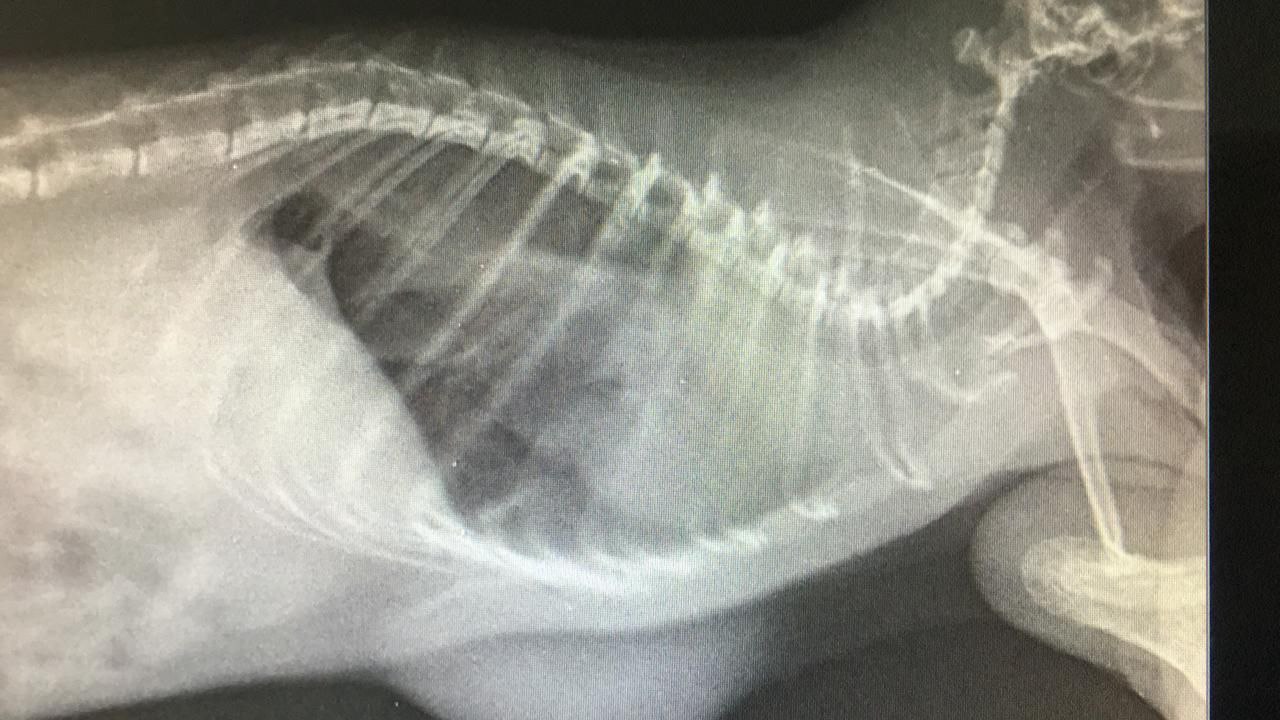 photo_2024-12-18_11-19-07 (3)