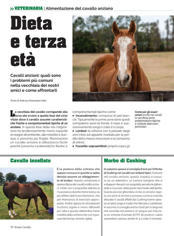 Il Mio Cav (Ott 2022) (9)