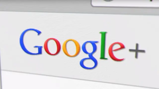 Google Social Network