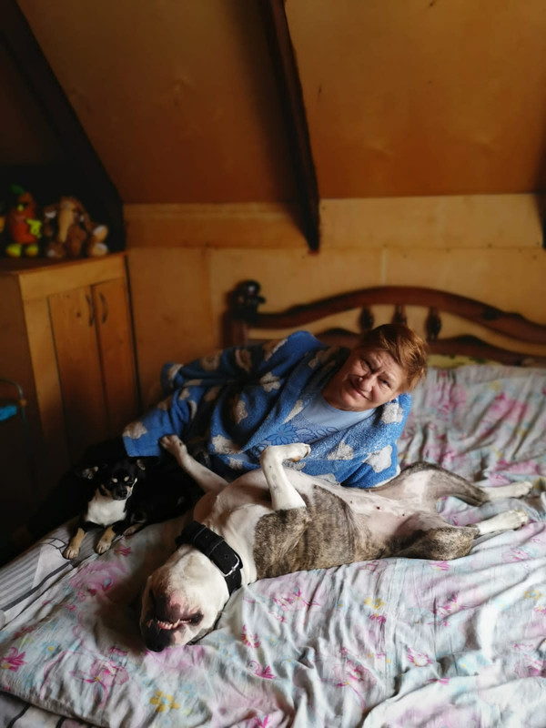 83DCE47E-F169-426E-A32A-58BB5EA105A1