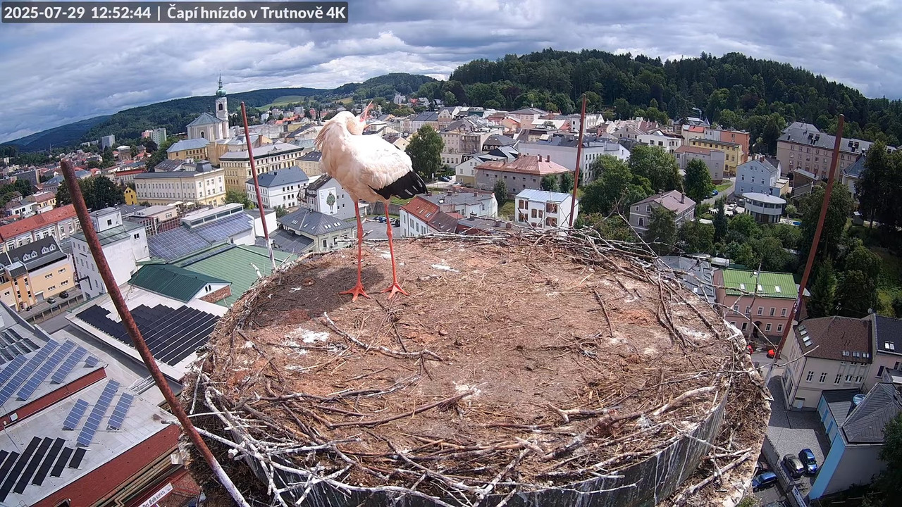 Tiešraide no stārķa ligzdas uz alus darītavas skursteņa Trutnovā 11-28-44 screenshot