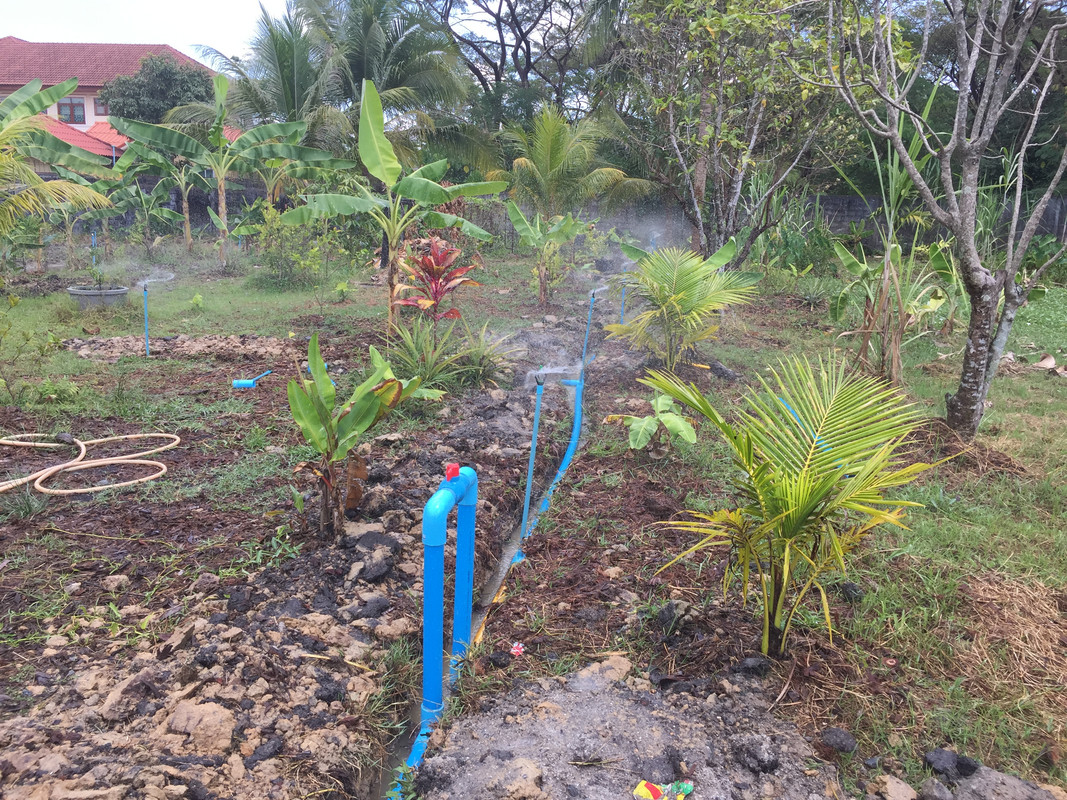 82CDAFB6-B9B9-4CEF-972B-E3BEE868D8A4