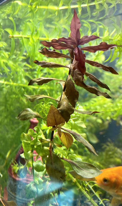 D3D7DBB3-9205-4FC2-A130-4027882549A7