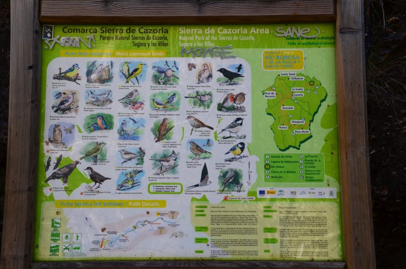 RUTA RIO BOROSA-12-3-2016-JAEN - Paseando por España-1991/2016 (59)