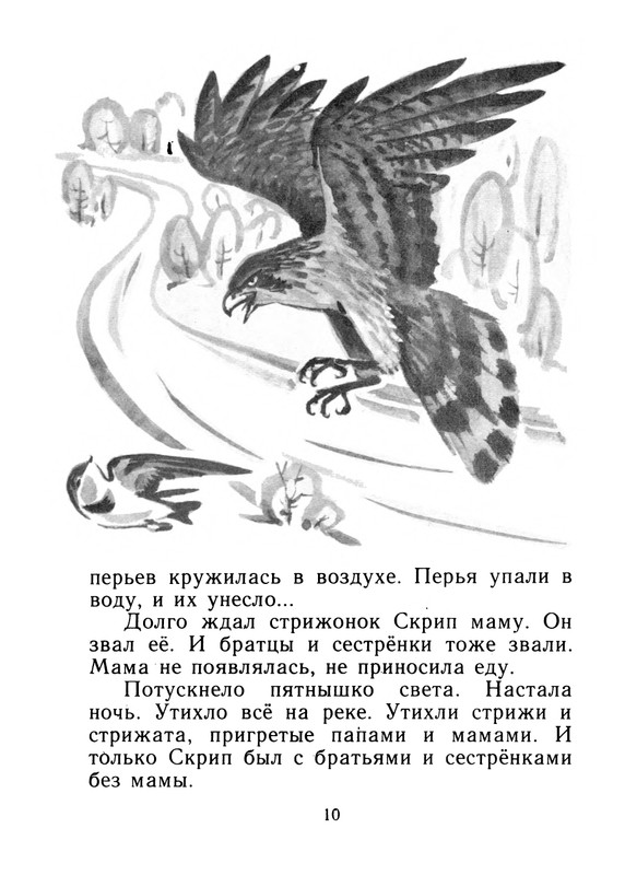 Краткий пересказ сказки стрижонок скрип. Стрижонок скрип. Стрижонок скрип краткое содержание. Пересказ Стрижонок скрип.