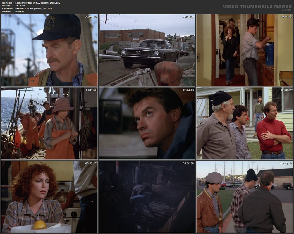 Spenser For Hire S02E02 Widow's Walk.mkv