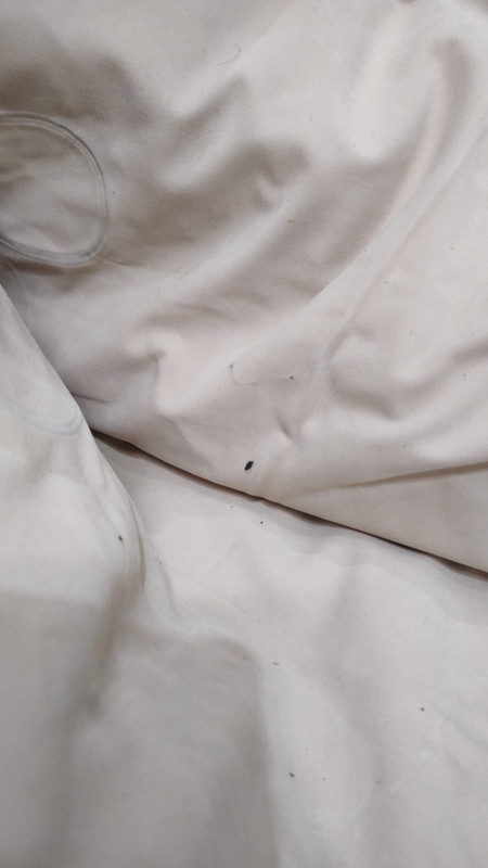 Whats App Image 2026 02 25 at 10 19 27