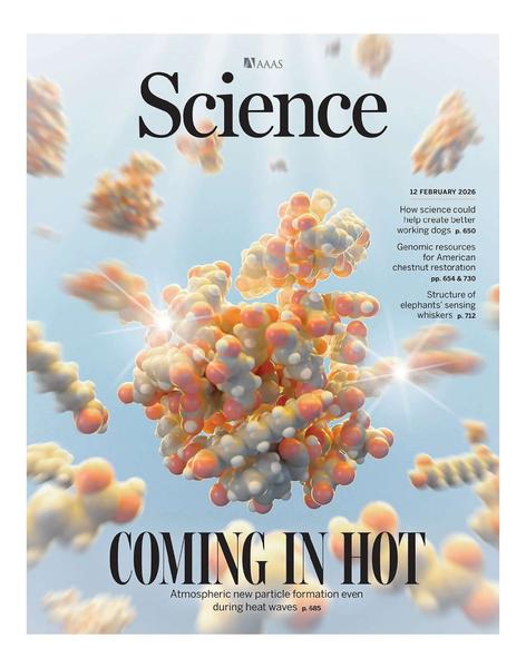 Science Issue 6786 Volume 391 February 12.2026 Science Issue 6786 Volume 391 February 12.2026