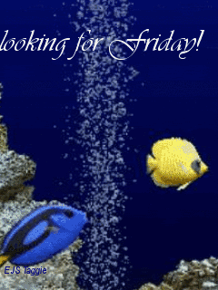 Thursday-looking-for-Friday-Fish