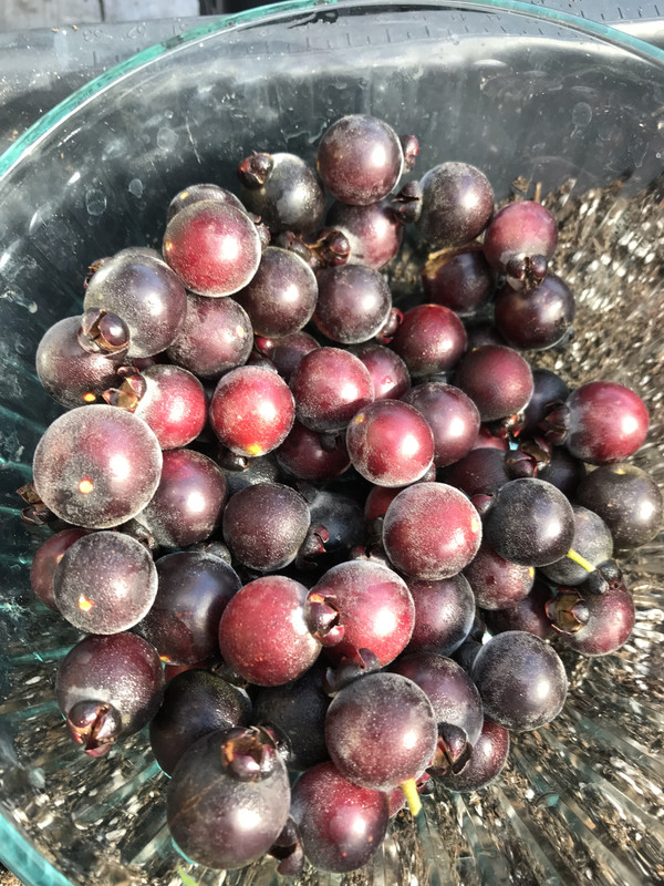 C4640E5D-00FD-4C98-8D2C-AEA278748B90