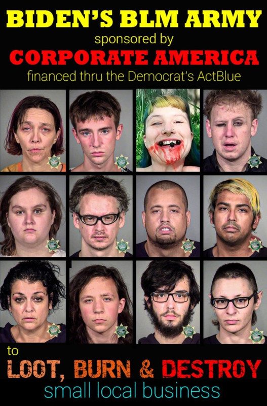 mugshot-biden-blm-antifa.jpg