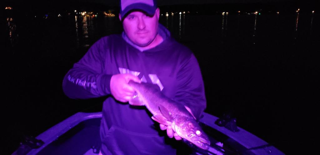 73AE8944-0031-4472-8FE1-4E76AFDB6D4F