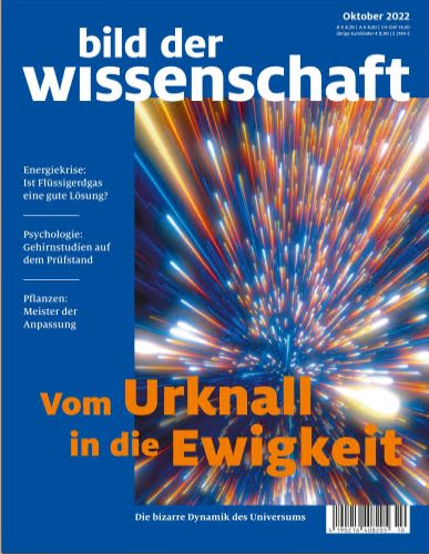 Cover: Bild der Wissenschaft Magazin No 10 Oktober 2022