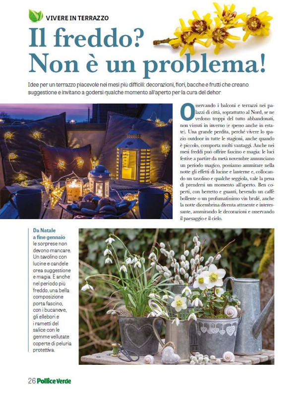 Pol Ver Dic 2025 Gen 2026 (11)