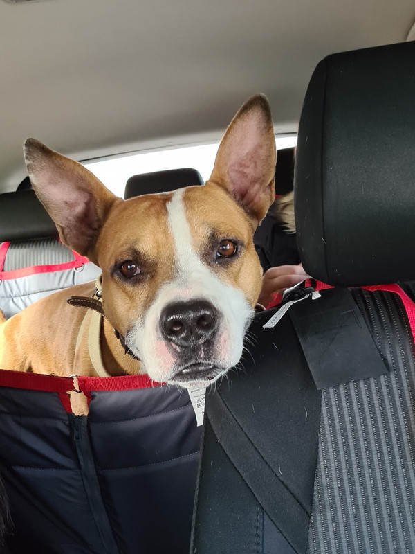 F3C9ADDD-AFFA-4F4F-BFFB-995286C1A411