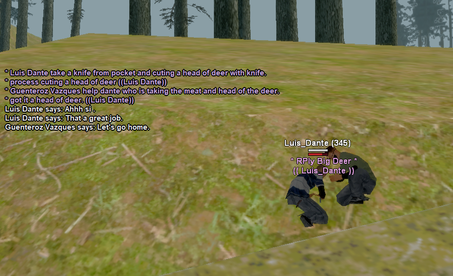 ss-rp-6.png