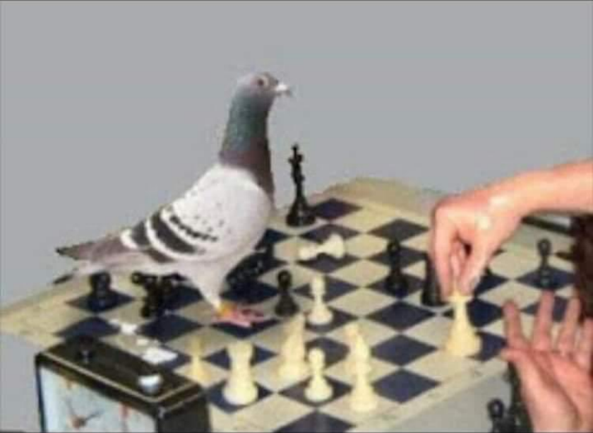 Captura-de-pantalla-2023-08-30-100846.png