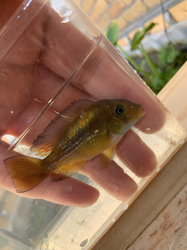 7797FF53-E12A-471C-BA38-6C9D70F4DC67