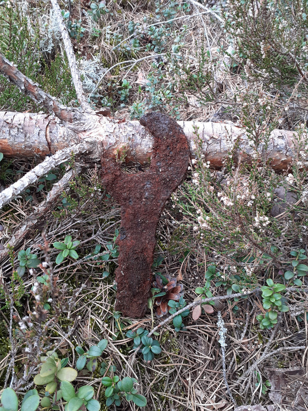 20210514_104523 – kopio