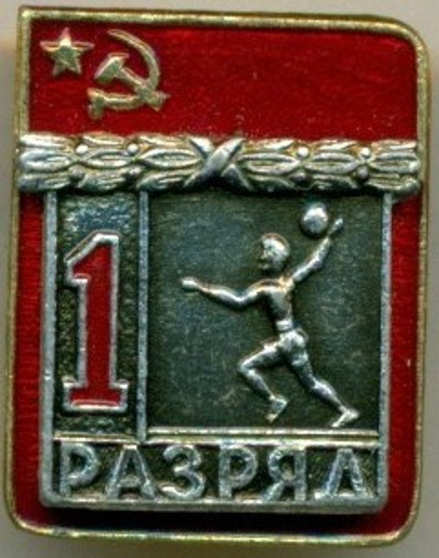 Гандбол (ВХО)