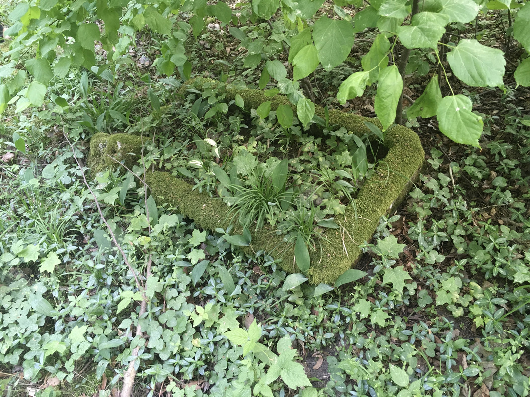 04.07 - 56AF6B90-7640-47F7-BE8D-8D545568CD2F (Eksplorator63)