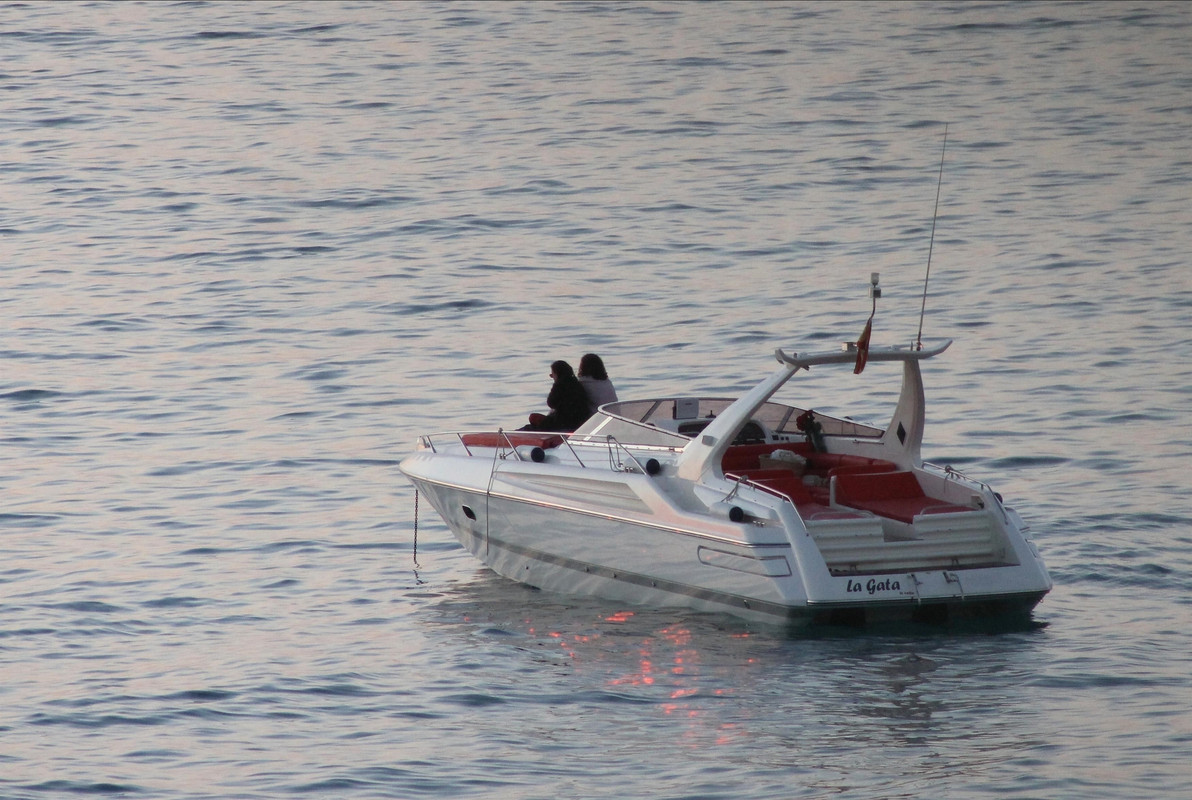 emmawatson-updates.com (89)