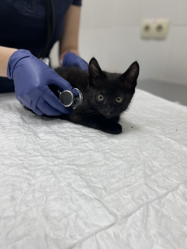 55A8CA39-32BB-46BC-BEE4-3ACB9C8AD225