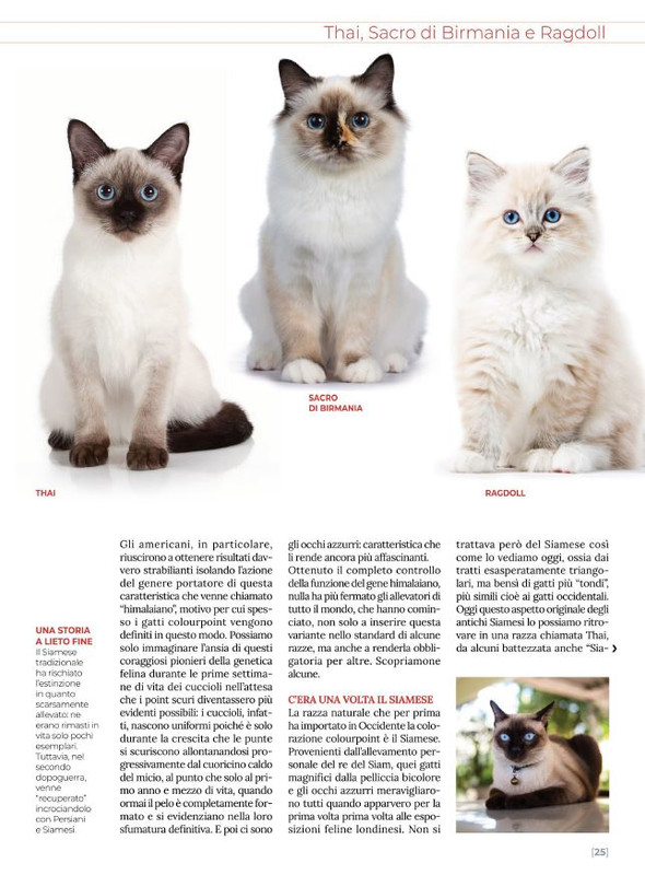 Ga Ma Feb-Mar 2022 (4)