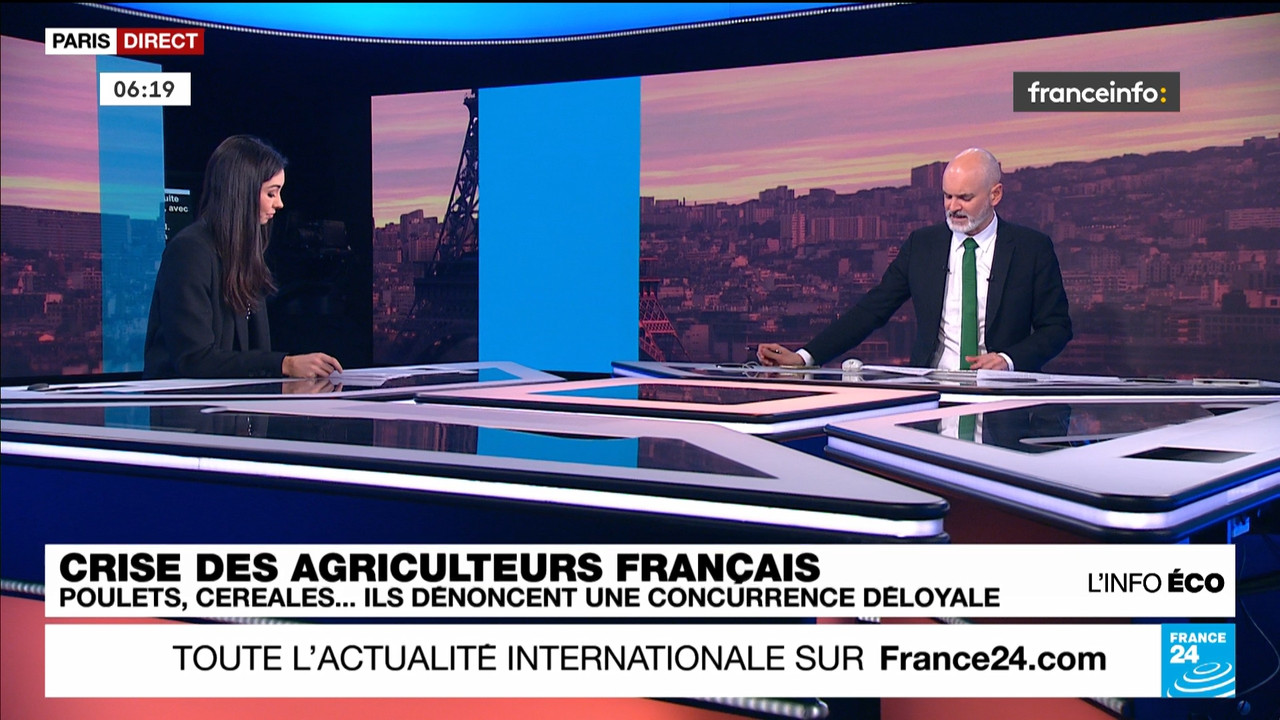 France 24 (Franceinfo)_2024_01_29_03_55_46.ts_snapshot_01.24.21.568