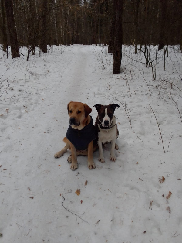 A9490CB4-5CF7-472F-90BB-C8868D1A8234