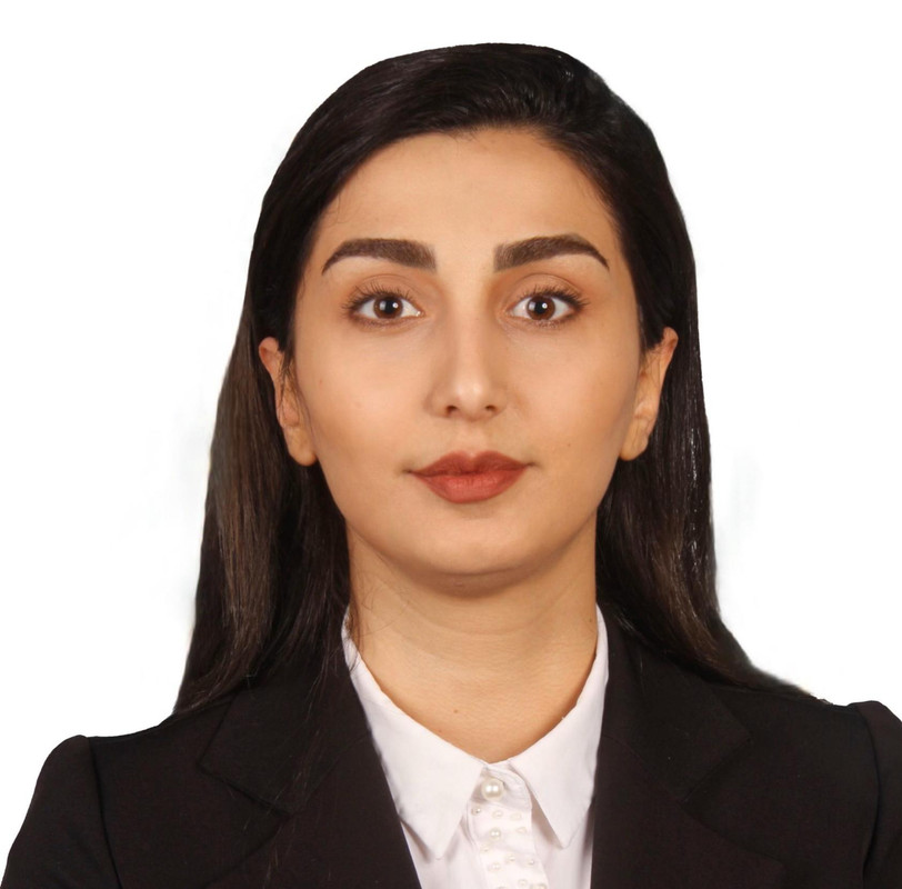 Maedeh Anisi​ 