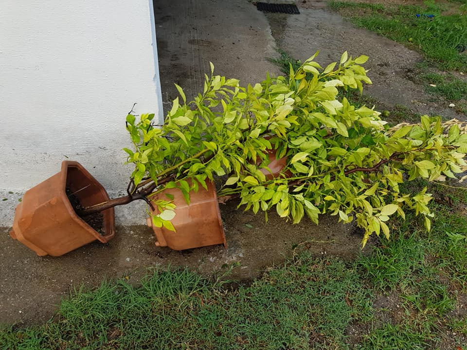 This image has an empty alt attribute; its file name is 110336520-961349867671593-8464188464395239117-n.jpg