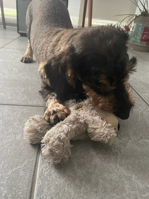 [Image: 6-C47-DF48-6229-4684-8-CF0-8-E4029074-FBA.jpg]