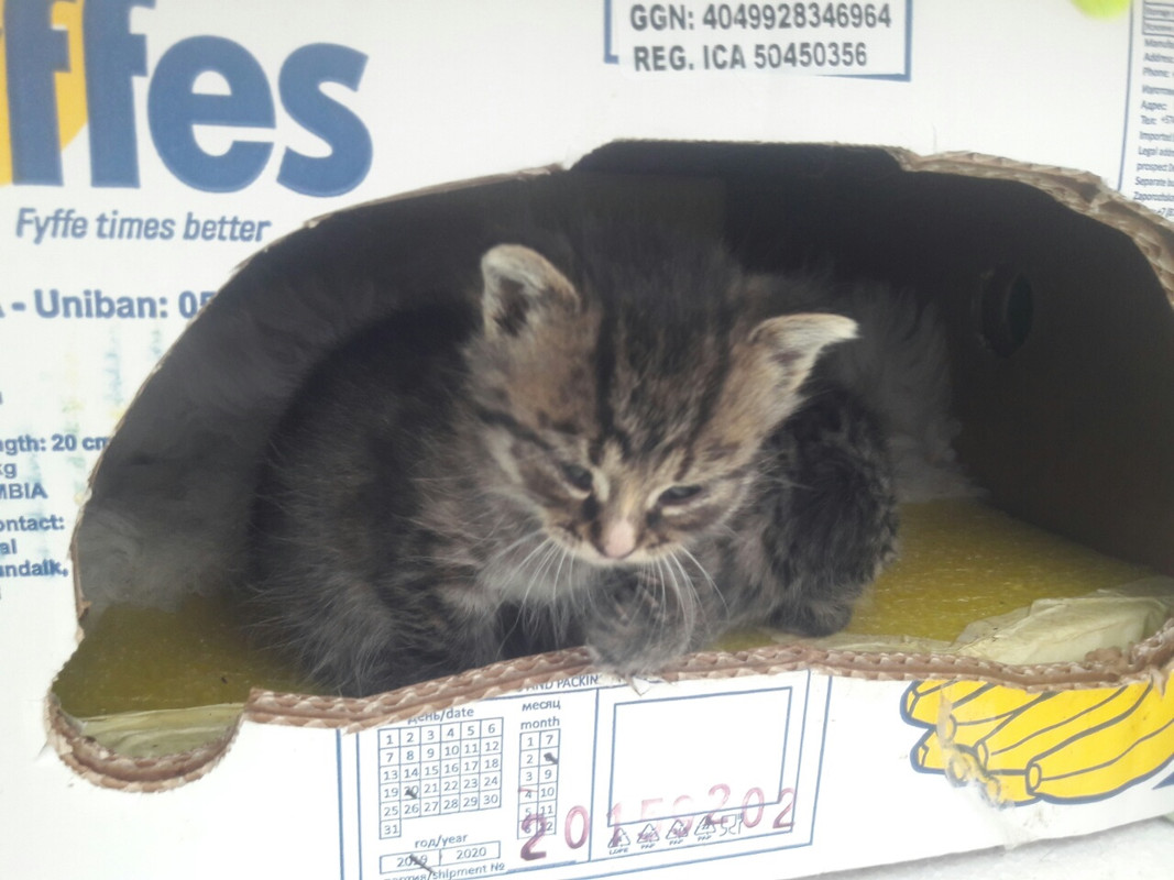 изображение_viber_2019-10-03_09-50-11