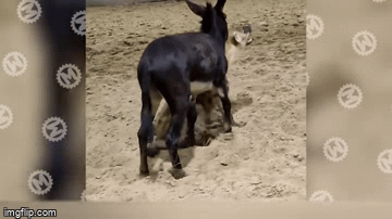 ���� ���� ������ �� ���� ������