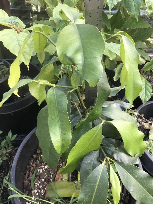 F7268895-12A5-4341-B3E6-B7FF2EEE3A44