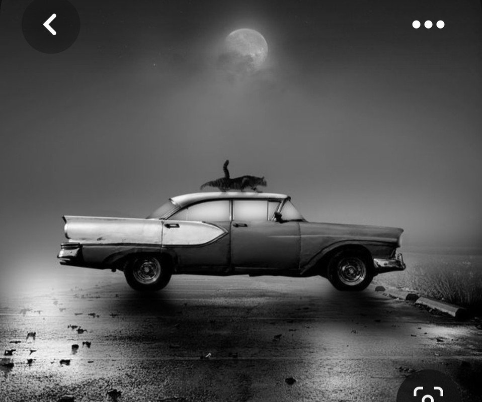 Screenshot_20230729_234506_Pinterest