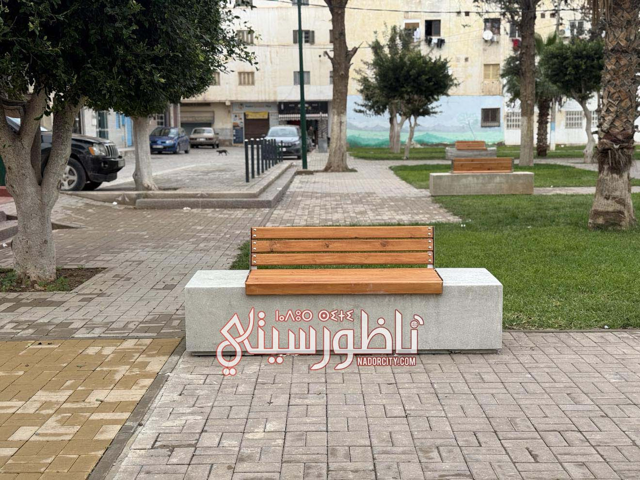 622177885-3342735562562487-614040902581992916-n