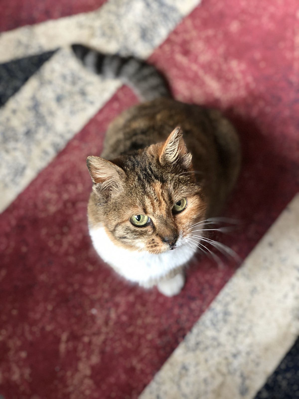 E1E90E87-3FC6-4CA2-B16C-4FCA3056C0DA